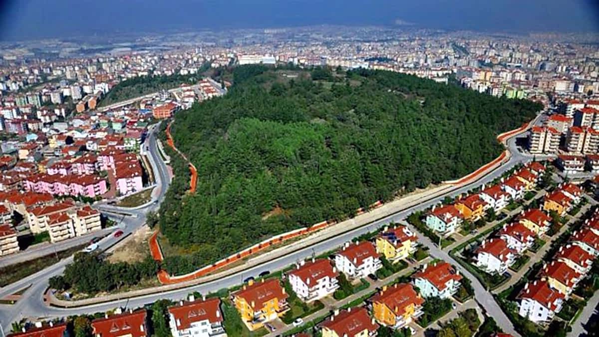 Sumqayıt İlaçlama