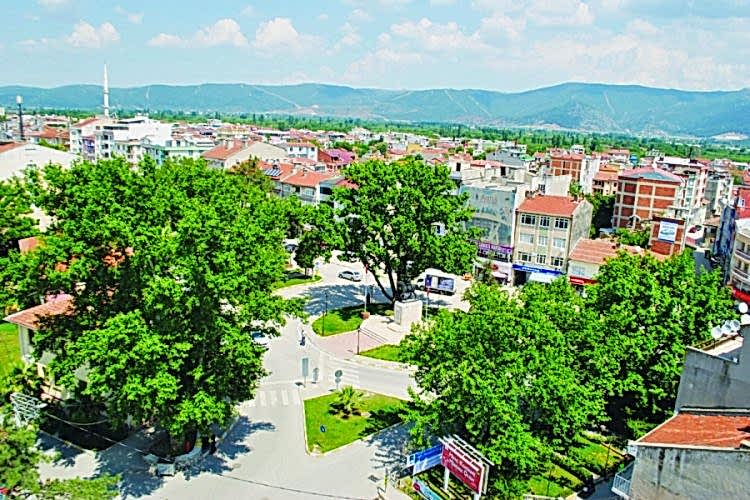 Gürsu İlaçlama